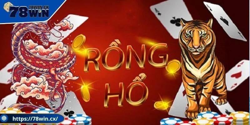 Cách soi cầu Rồng Hổ bệt cho người mới bắt đầu