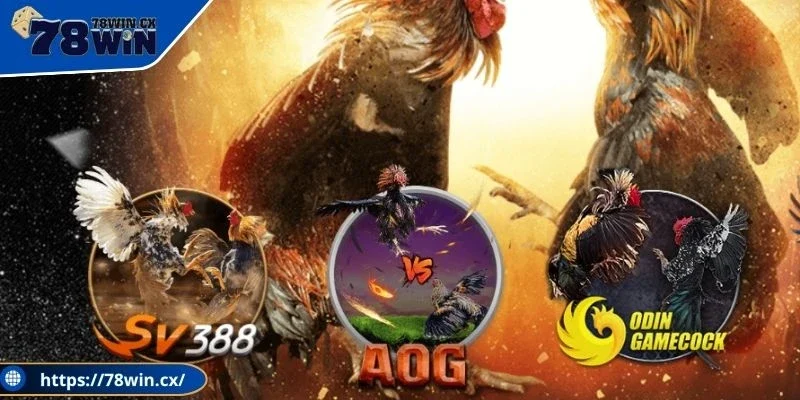 Nhà cung cấp game đá gà 78WIN uy tín cho dân chuyên